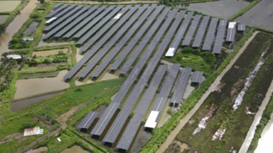 Agri-solar 5MW